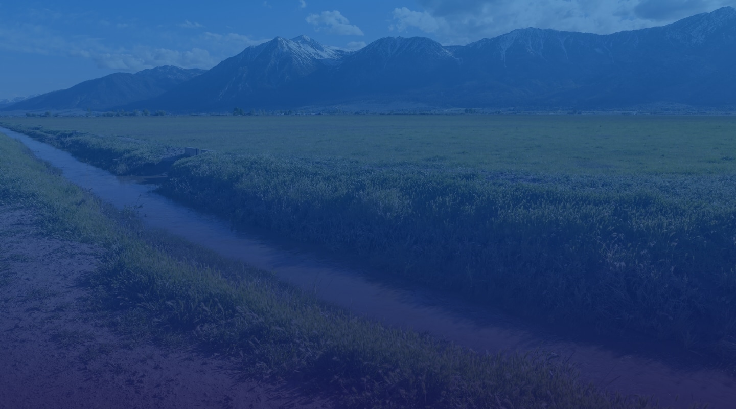 Carson Valley community